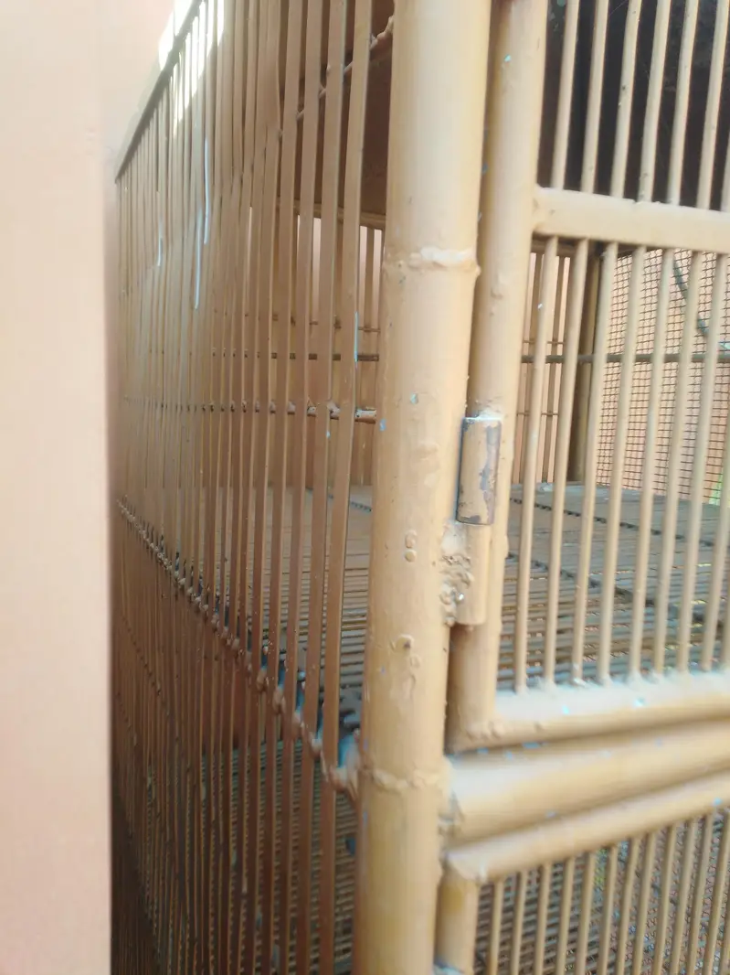 Iron cage 0301+5988707 — photo 4