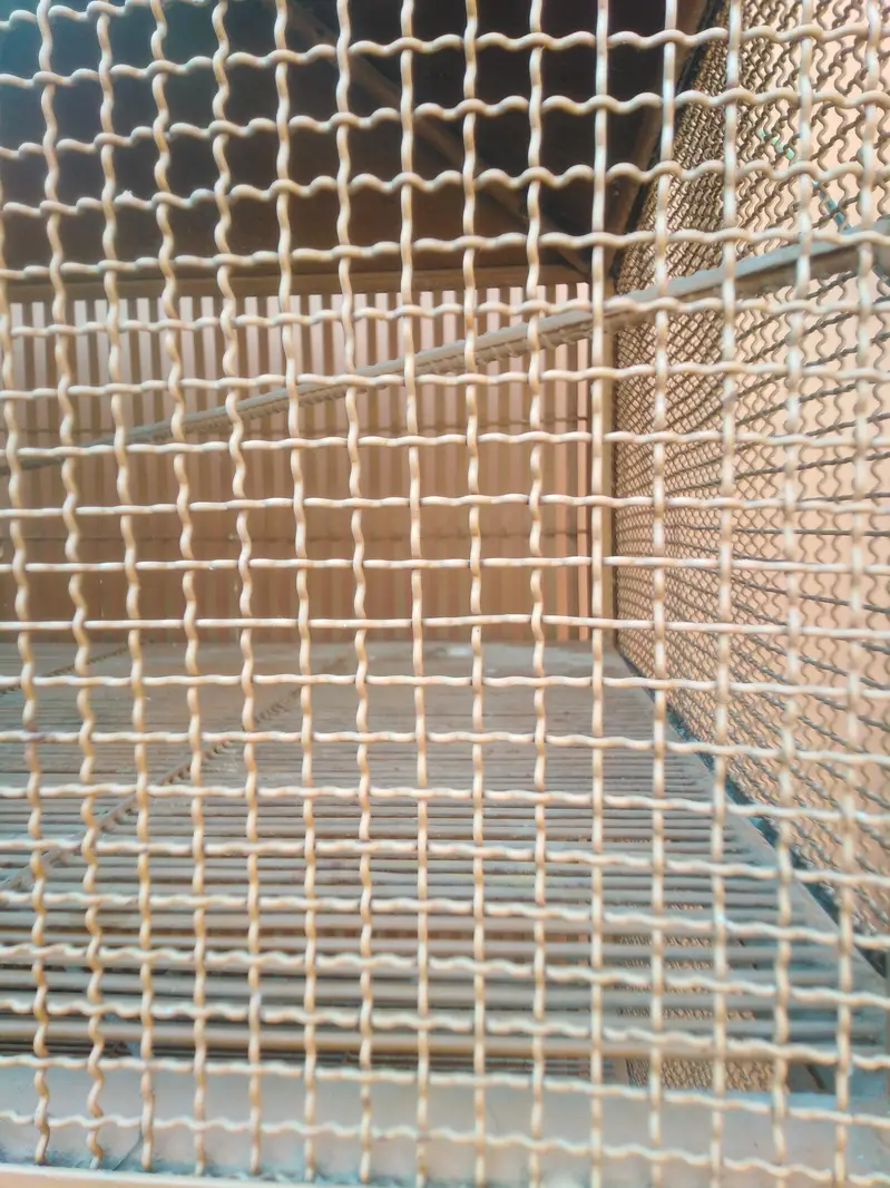 Iron cage 0301+5988707 — photo 5
