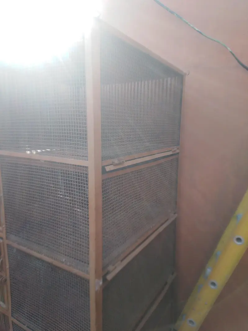 Iron cage 0301+5988707 — photo 6