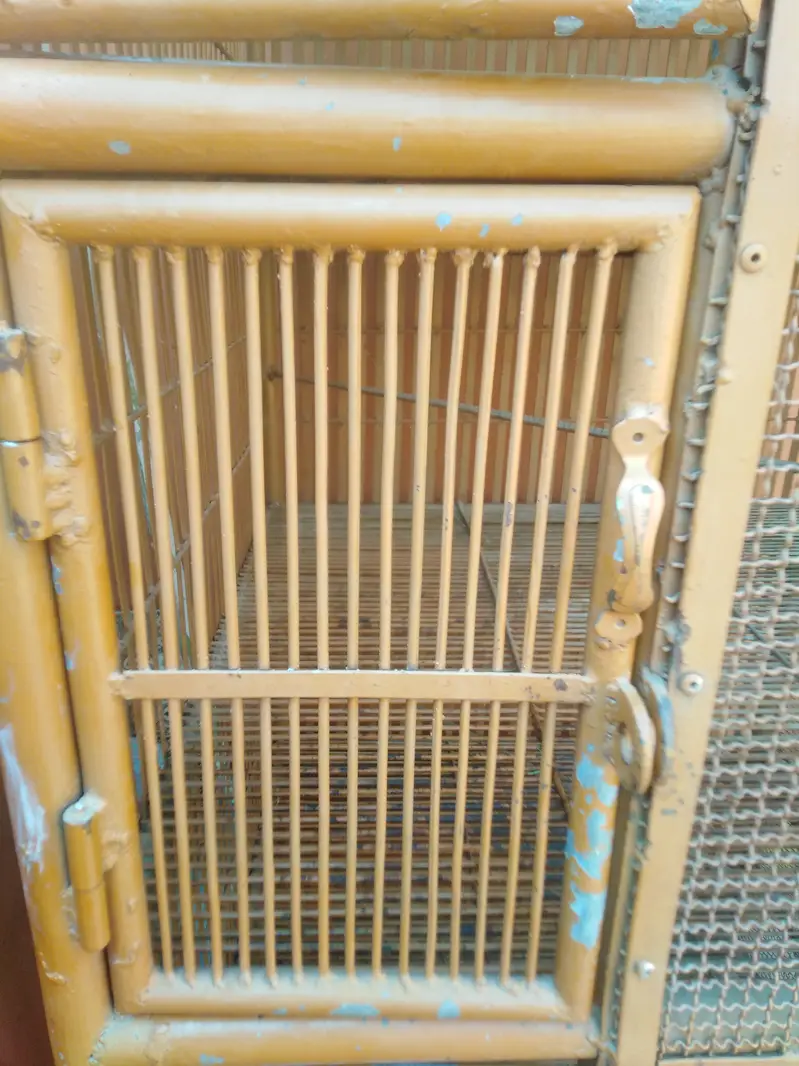 Iron cage 0301+5988707 — photo 7