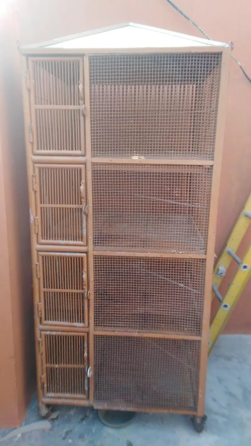 Iron cage 0301+5988707 — photo 10
