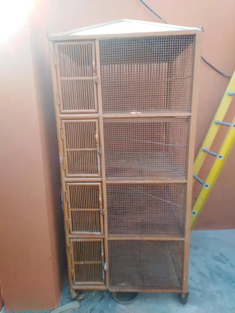 Iron cage 0301+5988707 — photo 12
