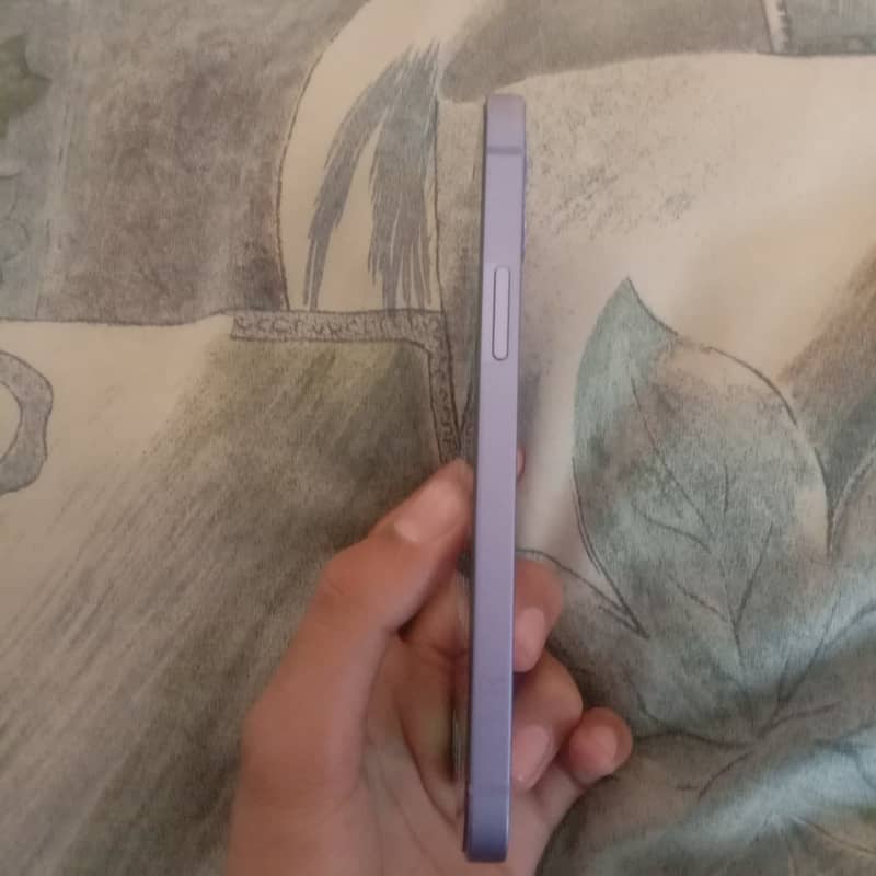 iPhone 12 1