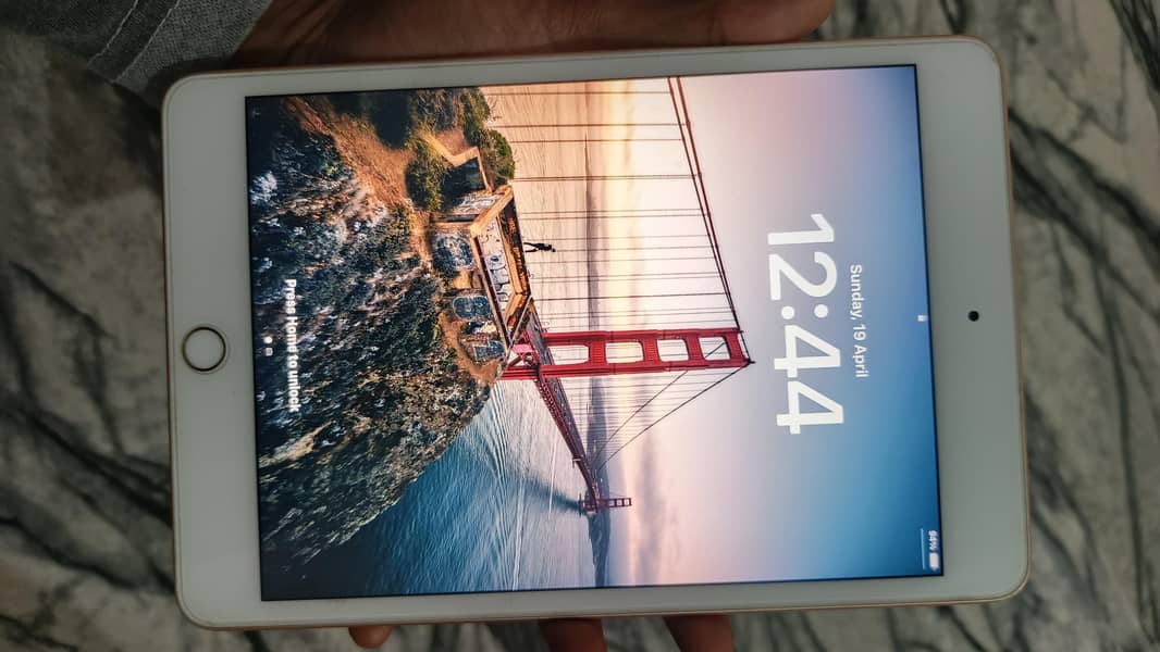 ipad mini 5 0