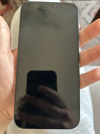 Iphone 12 pro max
