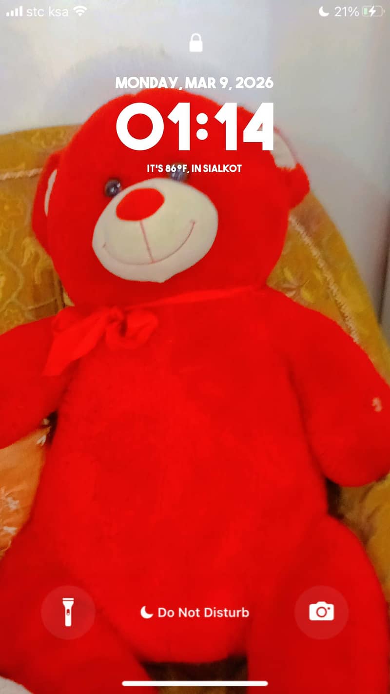 teddy bears 1