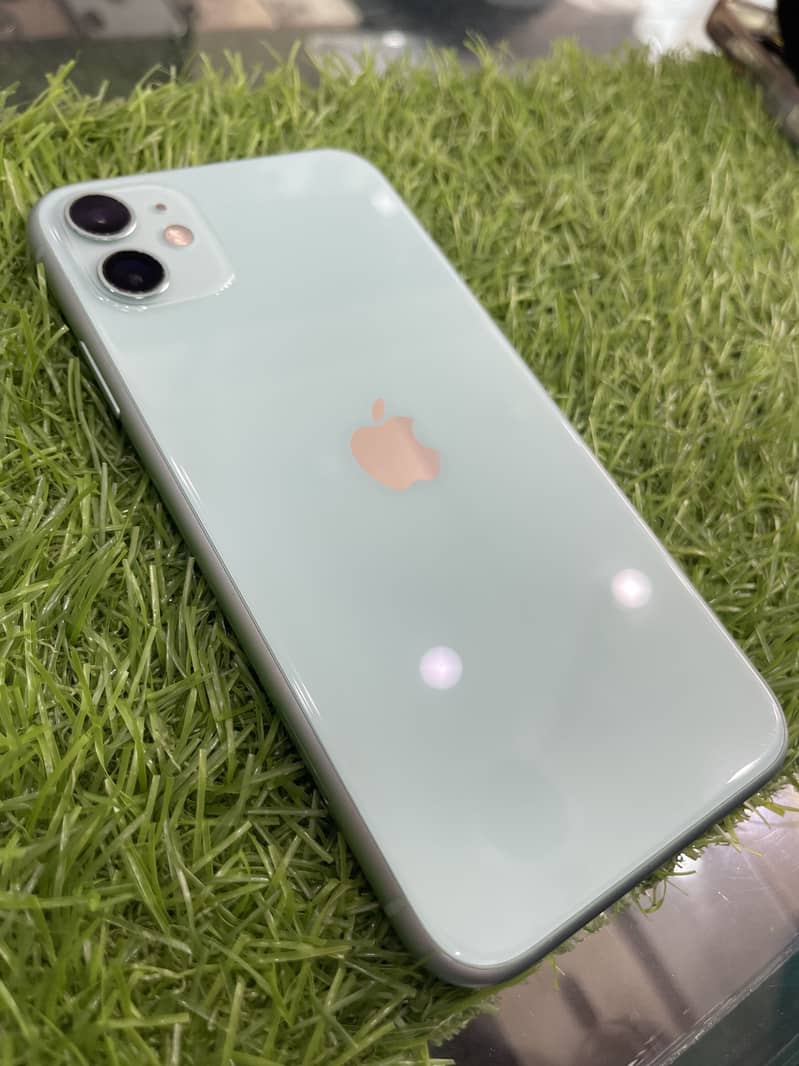 Iphone 11. 0