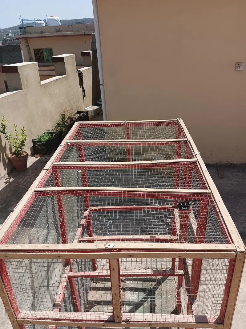 Animal Cage — photo 7
