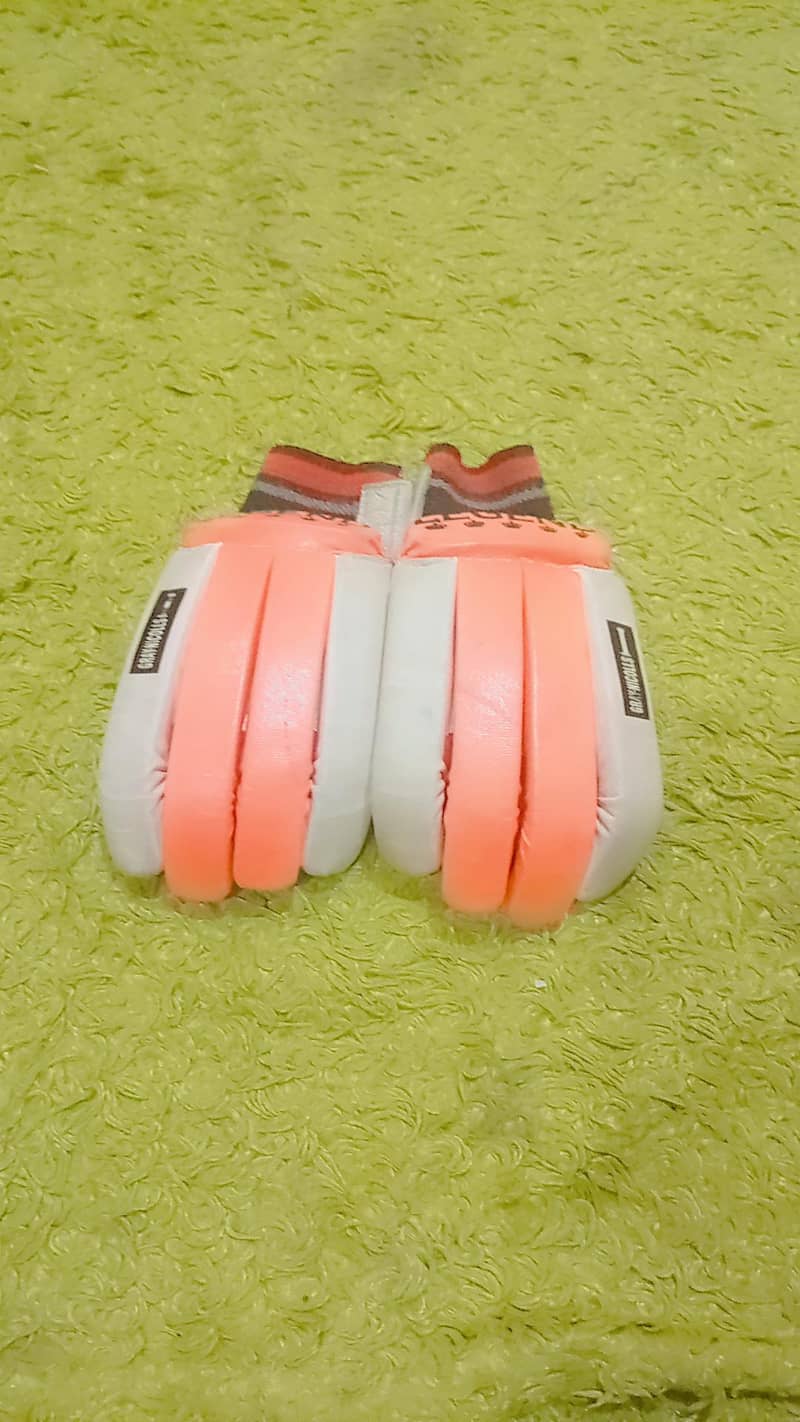 cricket kit 4