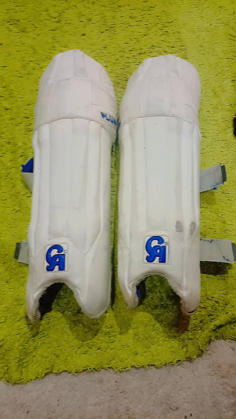 cricket kit 10