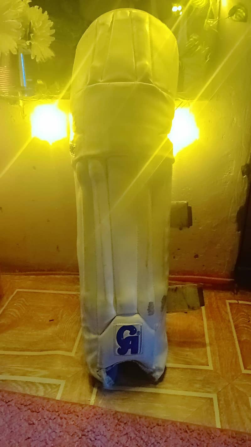 cricket kit 11