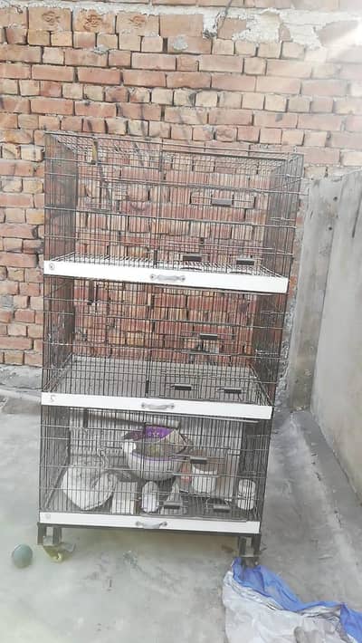 5 portion , cage