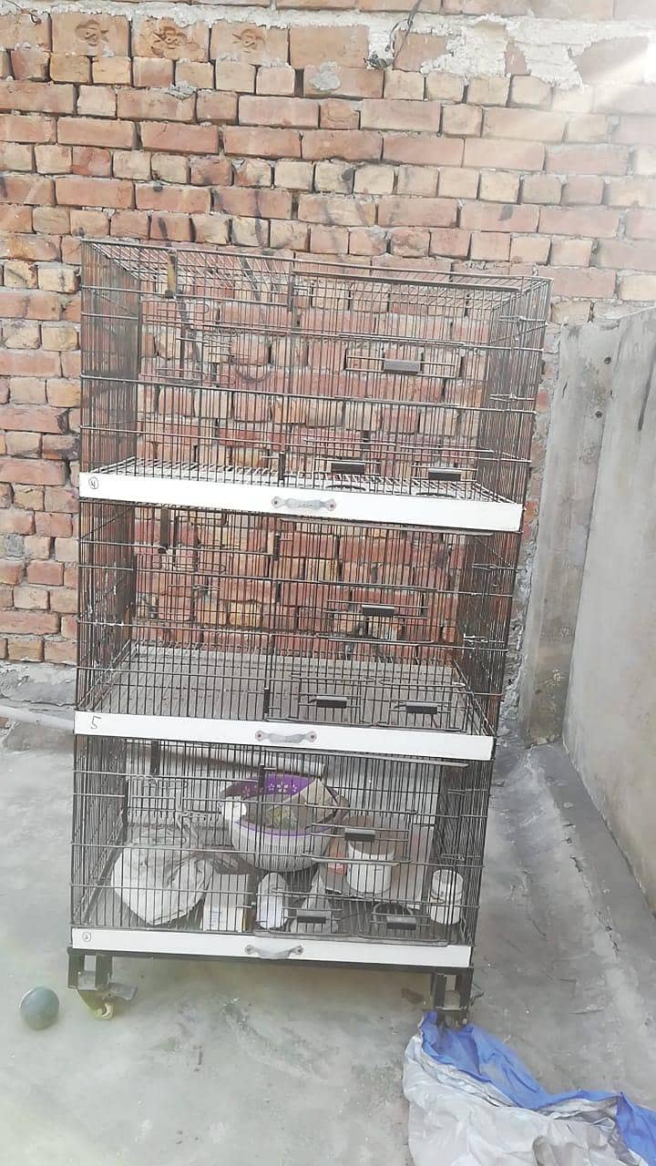 4 portion ,  5 portion , cage 1