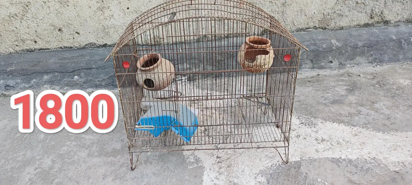 Pet Cages