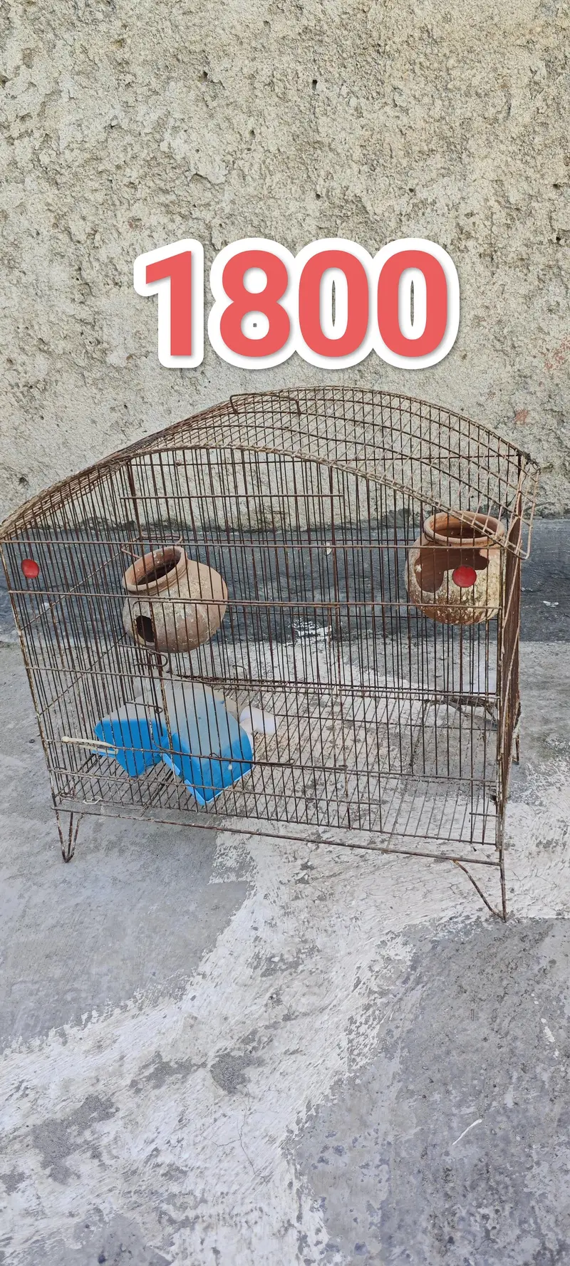 Pet Cages — photo 2