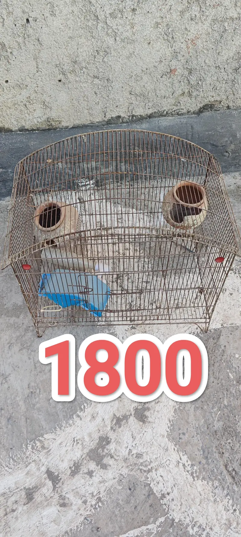 Pet Cages — photo 3