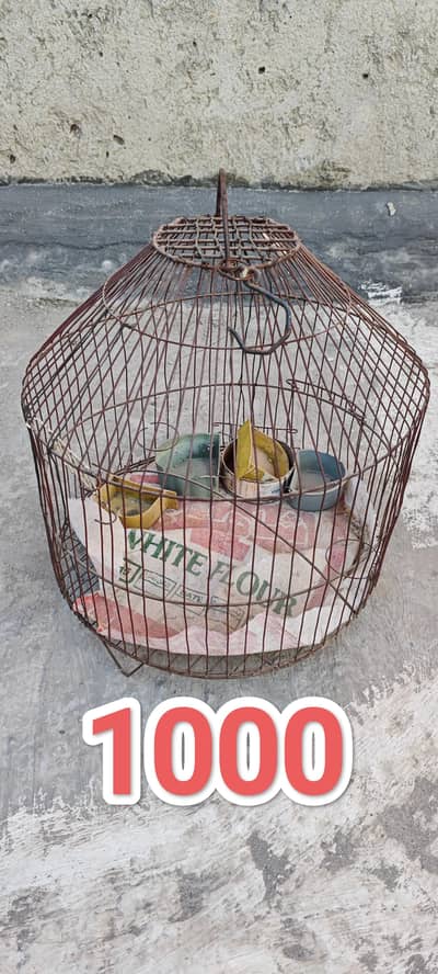 Pet Cages