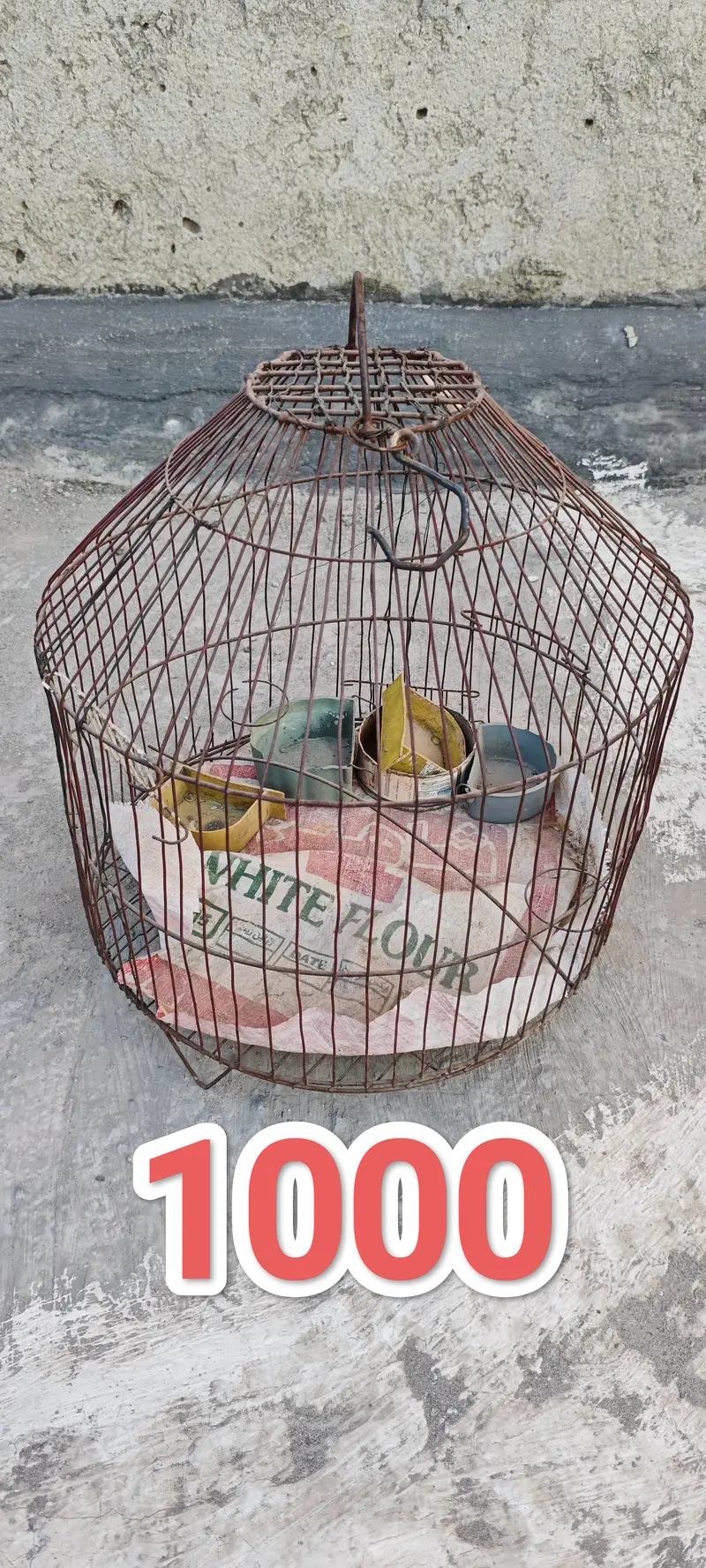 Pet Cages — photo 4