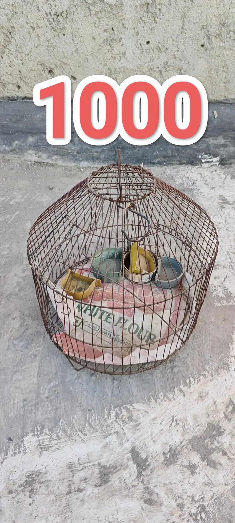 Pet Cages — photo 5
