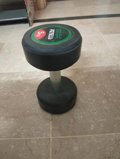 SNK fitness original dumble