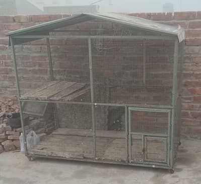 cage height 