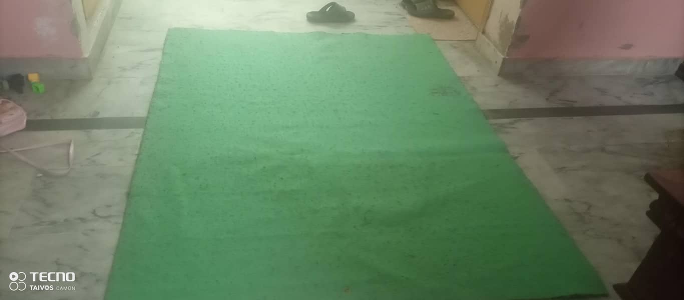 carpet 6