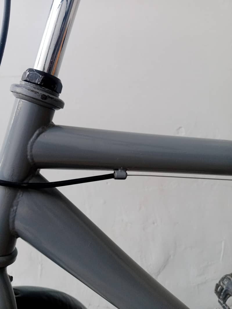 bicycle 2
