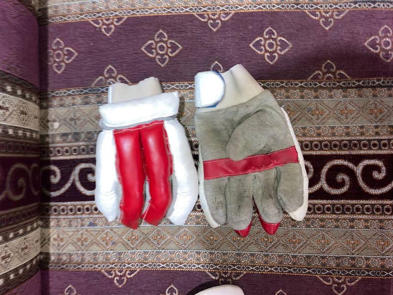 cricket kit 3