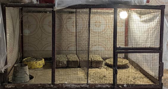 Metal Frame Cage