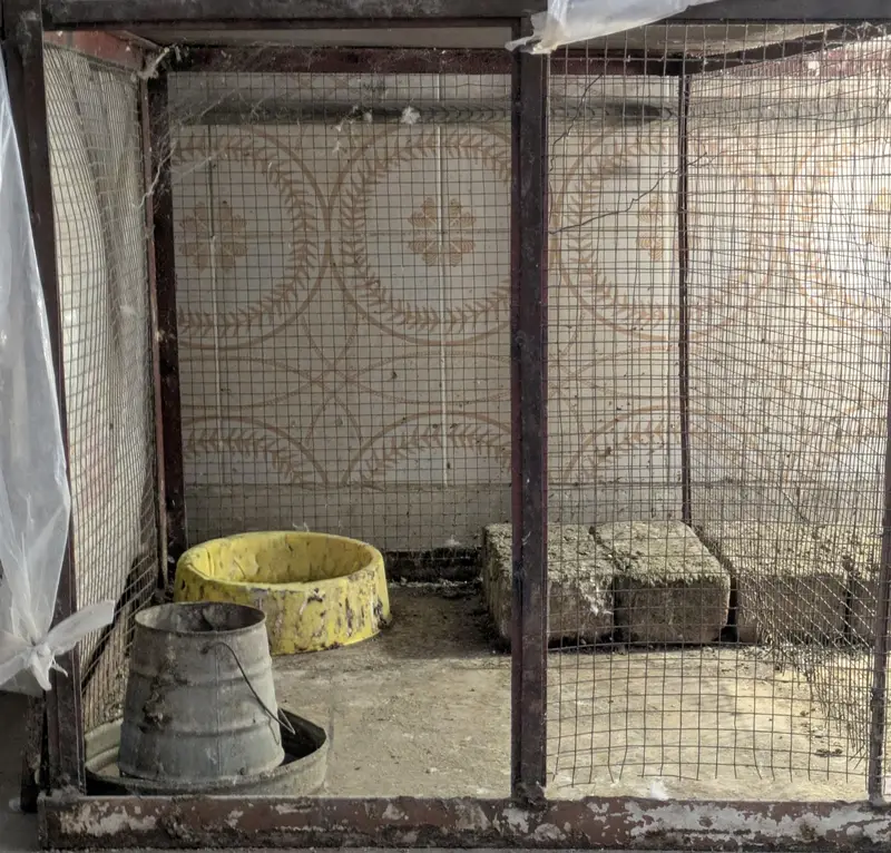 Metal Frame Cage — photo 2