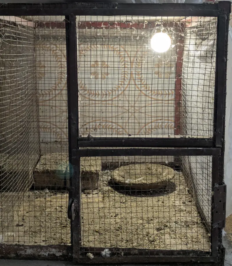 Metal Frame Cage — photo 3