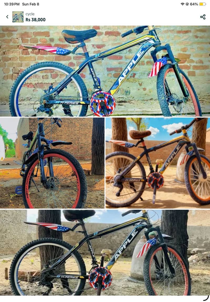 mountain bycycle 1