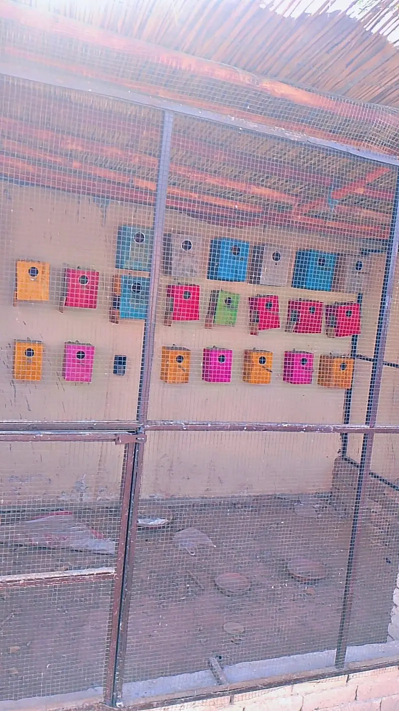 Cage frame 28x7  for sale