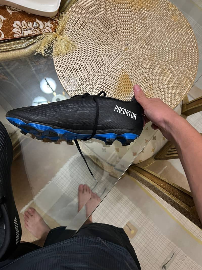 Adidas predators 2