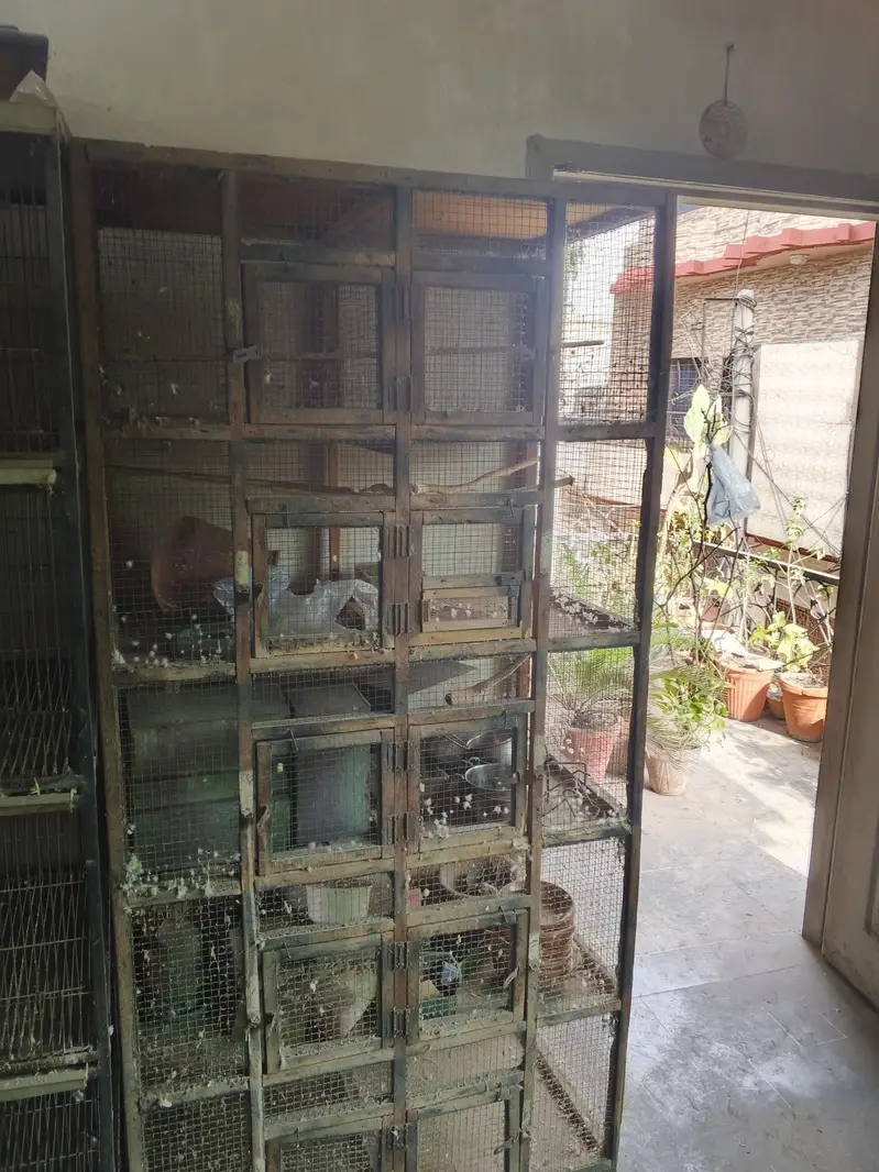 Cage for sale