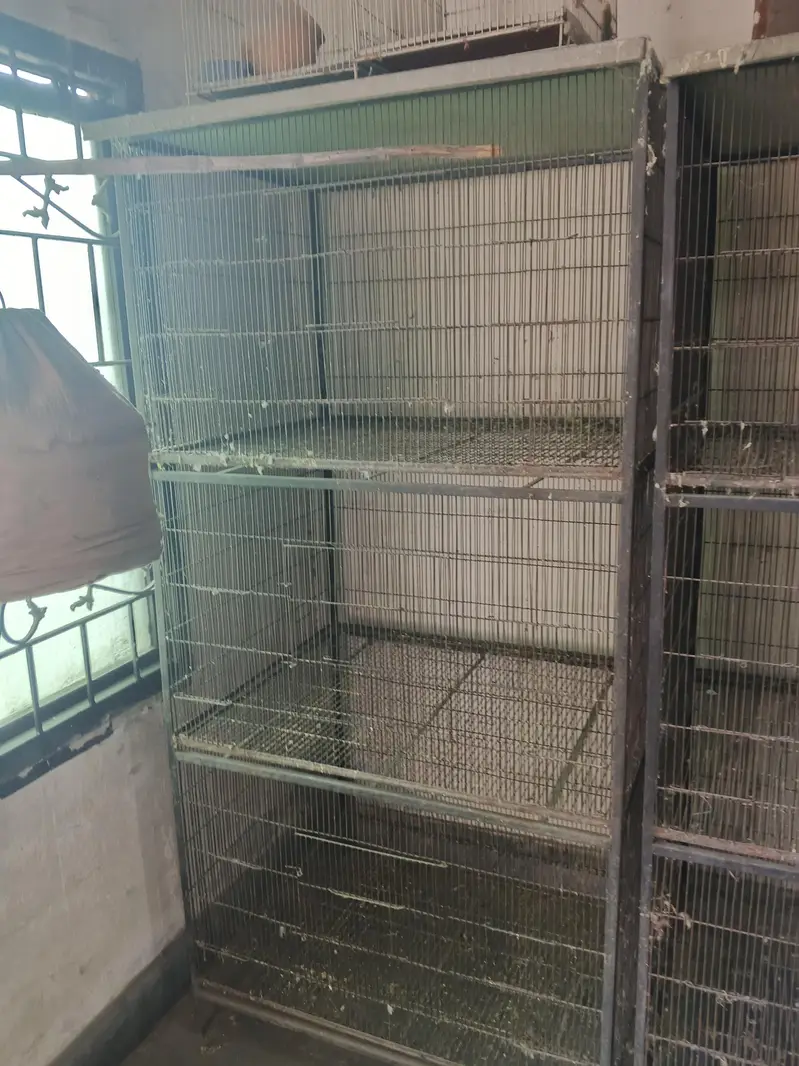 Cage for sale — photo 3