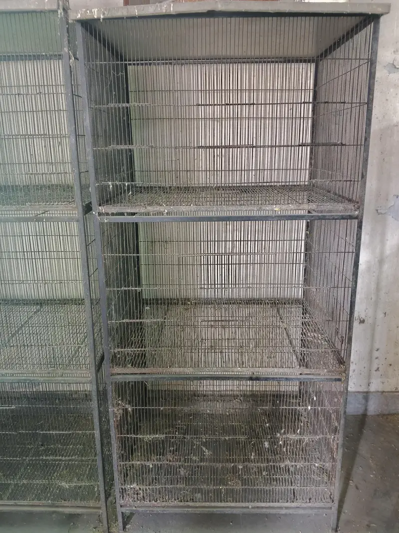 Cage for sale — photo 5