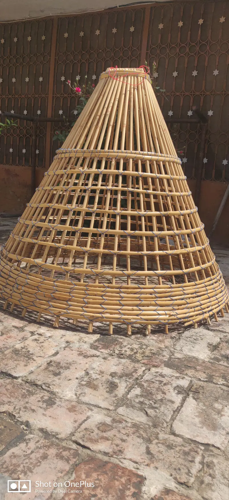 Murgha Tokra For Sale — photo 2