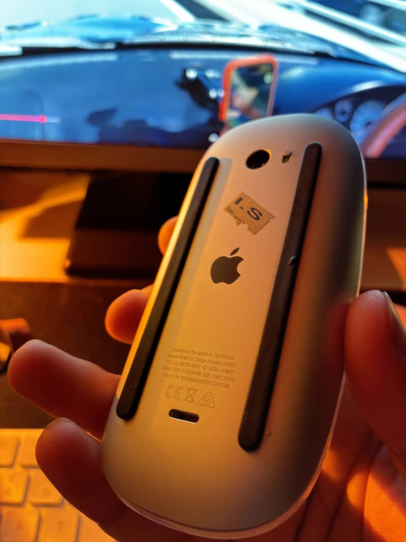 Magic Mouse 2 0