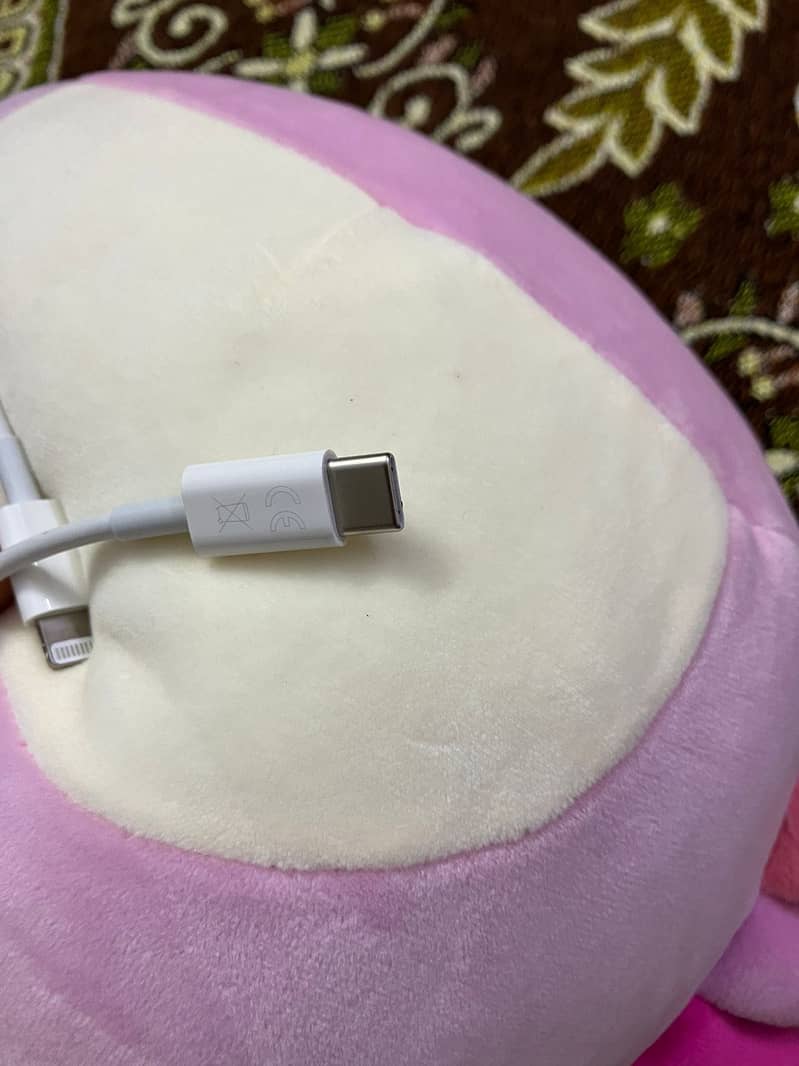 original iphone cable 1