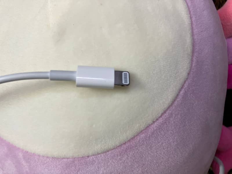 original iphone cable 2