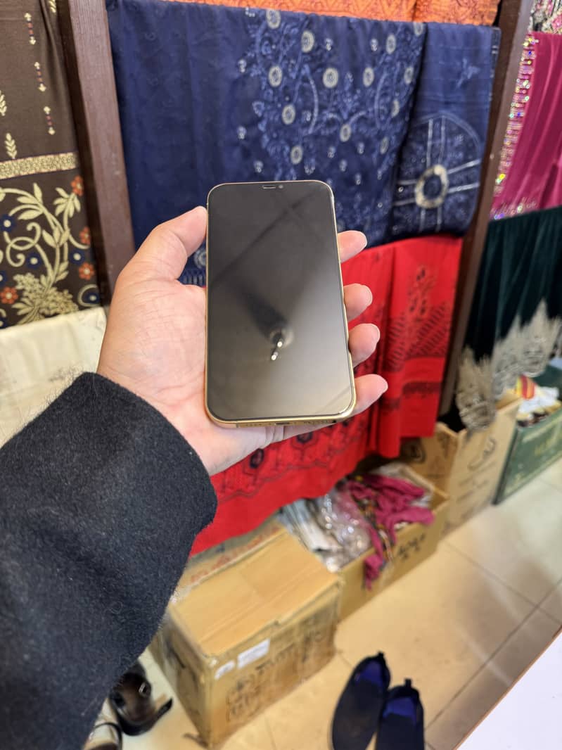 Iphone 12 pro max 1