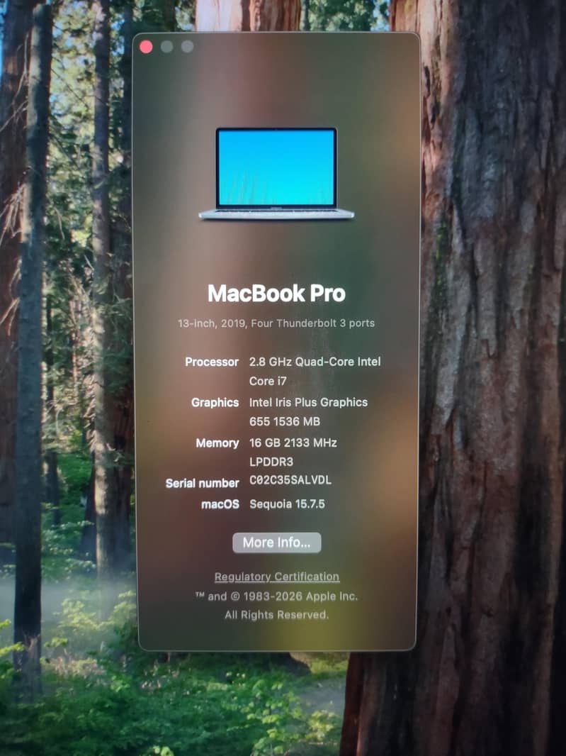 Macbook 19 pro 3