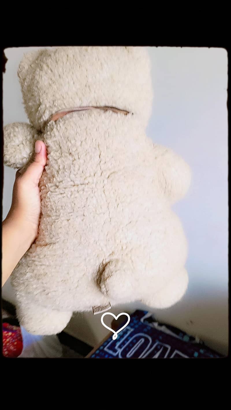 cute Teddy bear 0