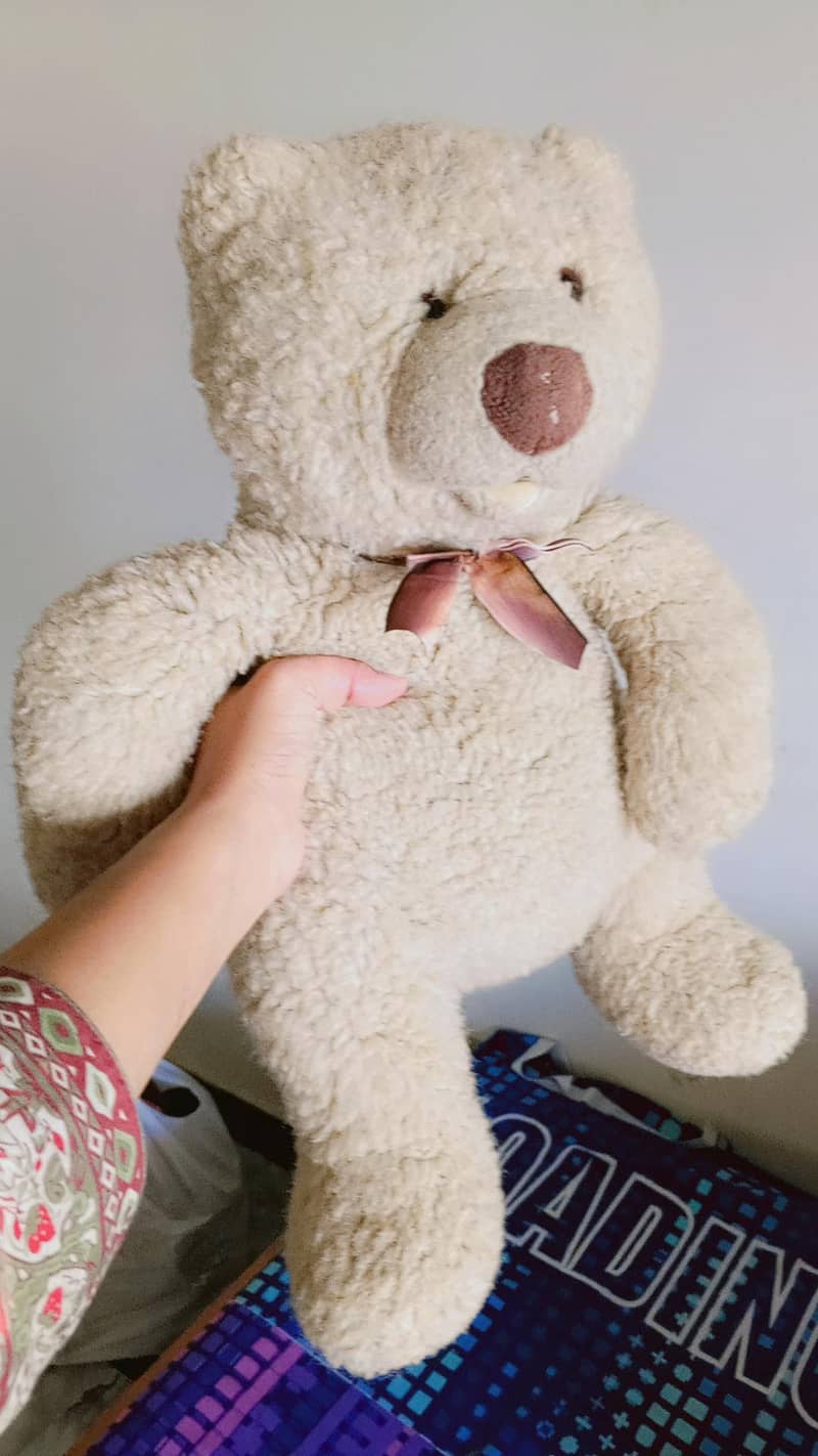 cute Teddy bear 1