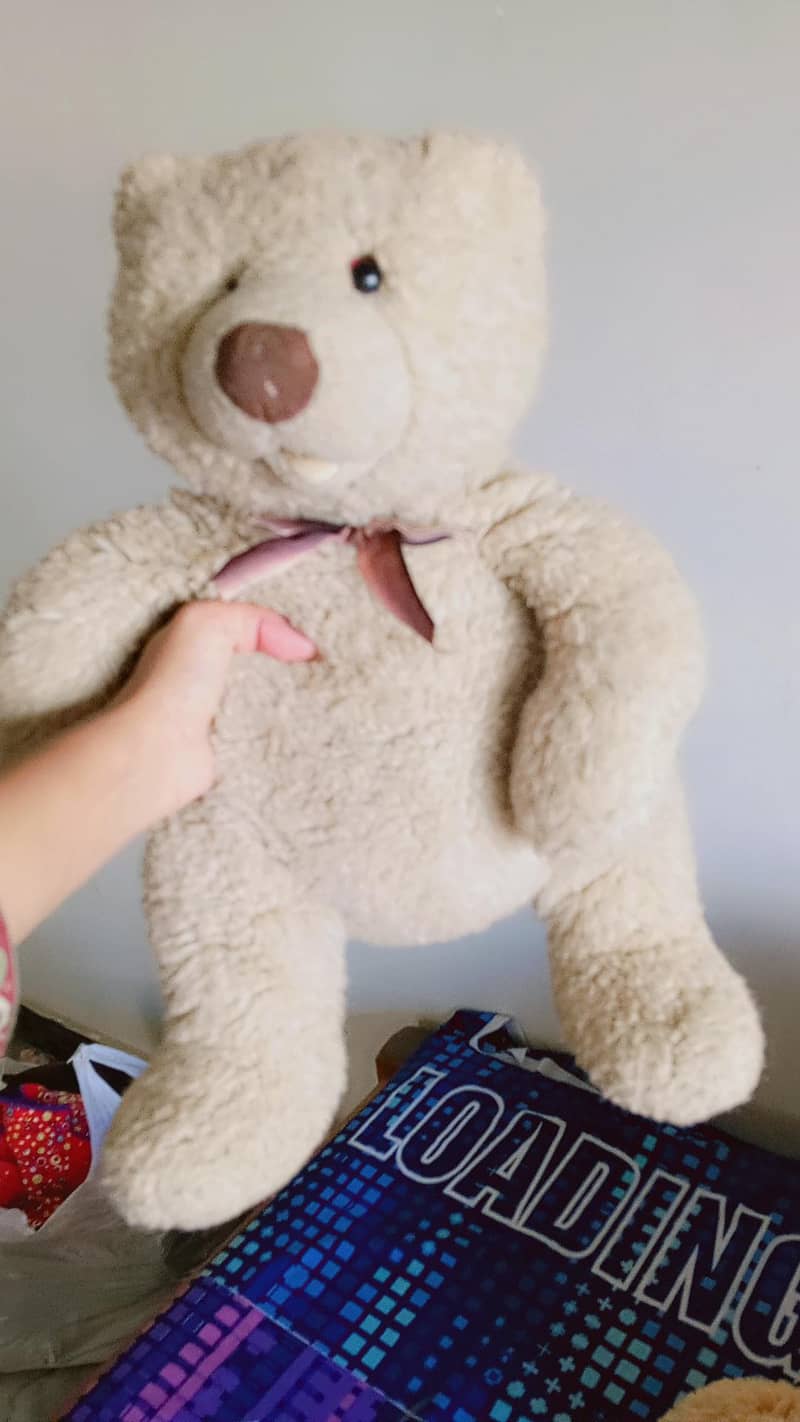 cute Teddy bear 2