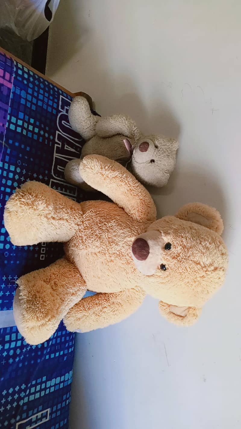 cute Teddy bear 3