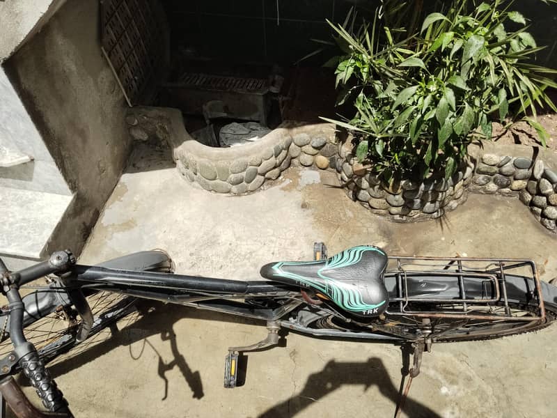 Road's Bicycle 2