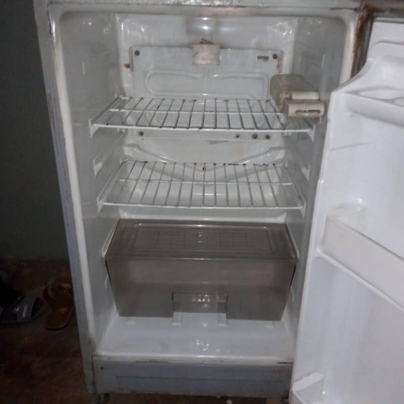 Medium Size Fridge 1