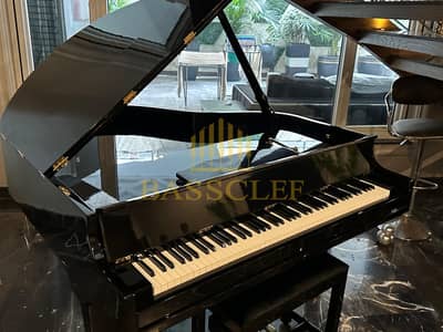 Bassclef Grand Piano/Grand piano/piano/keyboards/drums/pool table